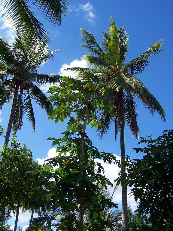 Blue Moon Beach Holiday Resort Inhambane Exterior photo